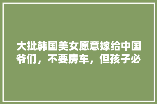 5E死亡代码网络安全背后的神秘力量