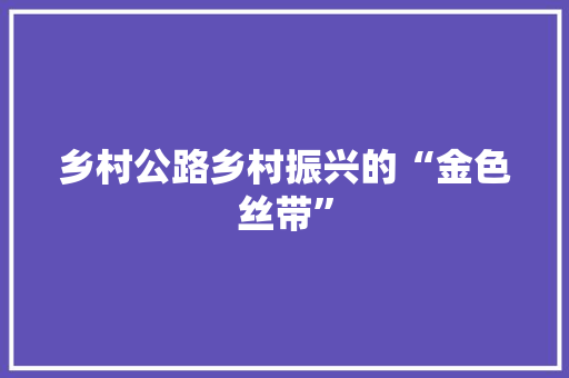 乡村公路乡村振兴的“金色丝带”