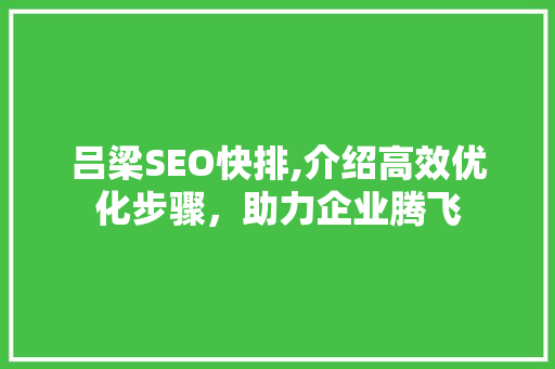 吕梁SEO快排,介绍高效优化步骤，助力企业腾飞