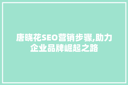 唐晓花SEO营销步骤,助力企业品牌崛起之路