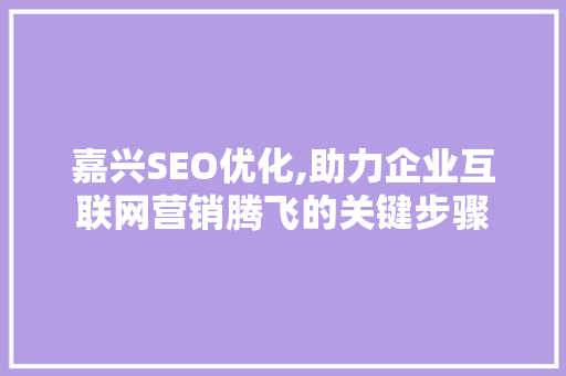 嘉兴SEO优化,助力企业互联网营销腾飞的关键步骤
