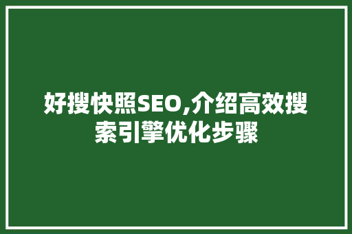 好搜快照SEO,介绍高效搜索引擎优化步骤