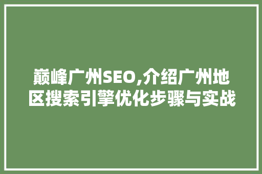 巅峰广州SEO,介绍广州地区搜索引擎优化步骤与实战方法