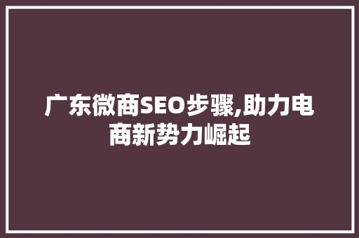 广东微商SEO步骤,助力电商新势力崛起