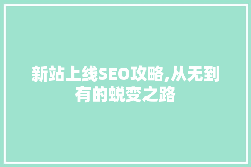 新站上线SEO攻略,从无到有的蜕变之路