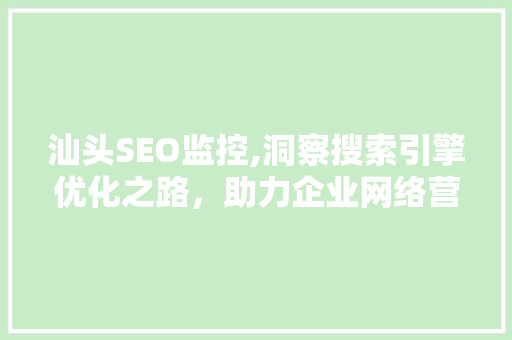 汕头SEO监控,洞察搜索引擎优化之路，助力企业网络营销腾飞