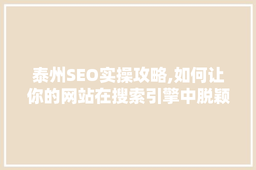 泰州SEO实操攻略,如何让你的网站在搜索引擎中脱颖而出