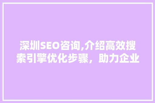 深圳SEO咨询,介绍高效搜索引擎优化步骤，助力企业腾飞