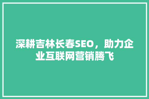 深耕吉林长春SEO，助力企业互联网营销腾飞