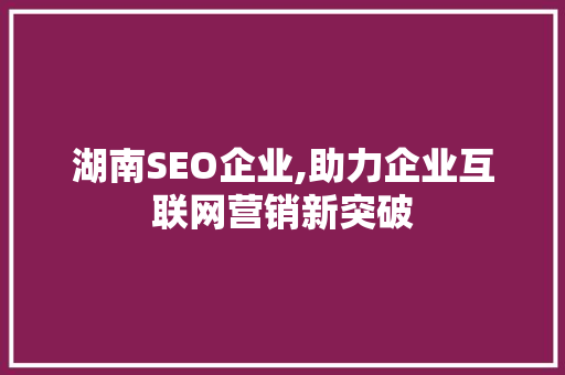 湖南SEO企业,助力企业互联网营销新突破