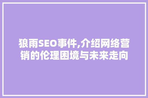 狼雨SEO事件,介绍网络营销的伦理困境与未来走向
