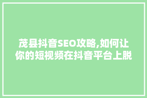 茂县抖音SEO攻略,如何让你的短视频在抖音平台上脱颖而出