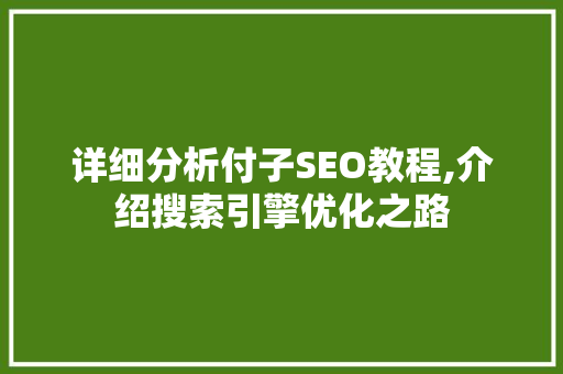 详细分析付子SEO教程,介绍搜索引擎优化之路