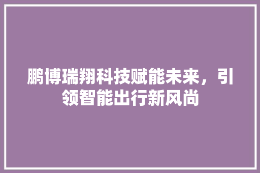 鹏博瑞翔科技赋能未来，引领智能出行新风尚