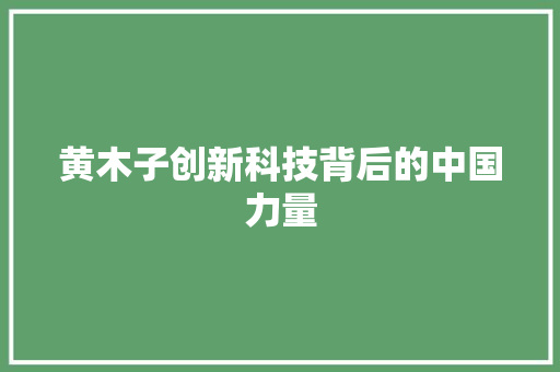黄木子创新科技背后的中国力量