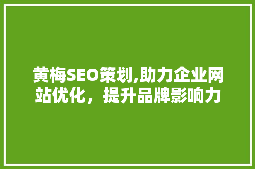黄梅SEO策划,助力企业网站优化，提升品牌影响力