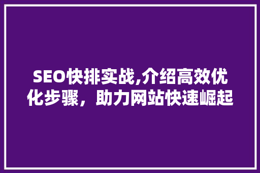 SEO快排实战,介绍高效优化步骤，助力网站快速崛起