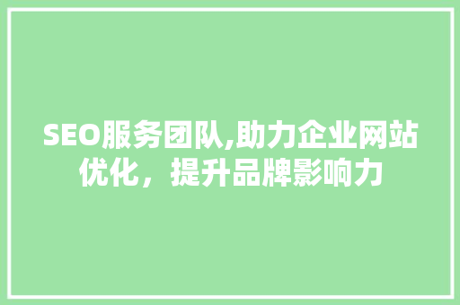 SEO服务团队,助力企业网站优化，提升品牌影响力