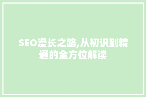 SEO漫长之路,从初识到精通的全方位解读