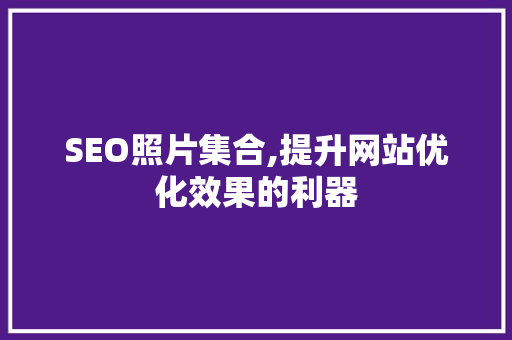SEO照片集合,提升网站优化效果的利器