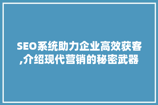 SEO系统助力企业高效获客,介绍现代营销的秘密武器