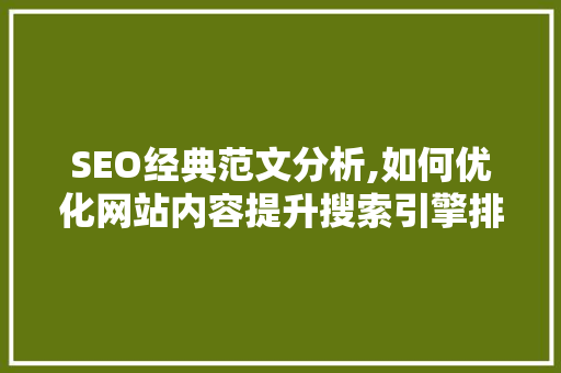 SEO经典范文分析,如何优化网站内容提升搜索引擎排名