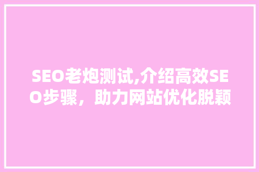 SEO老炮测试,介绍高效SEO步骤，助力网站优化脱颖而出