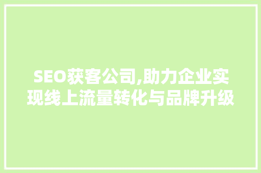 SEO获客公司,助力企业实现线上流量转化与品牌升级