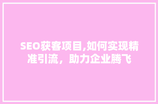 SEO获客项目,如何实现精准引流，助力企业腾飞