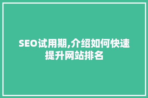 SEO试用期,介绍如何快速提升网站排名