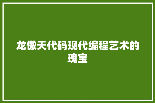 龙傲天代码现代编程艺术的瑰宝
