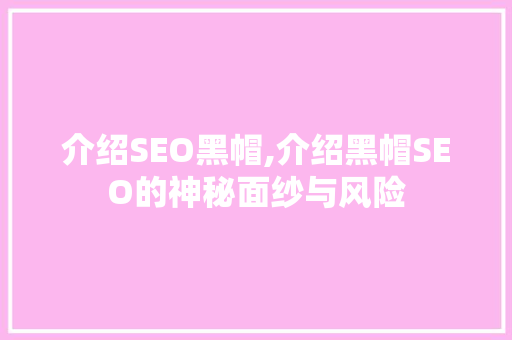 介绍SEO黑帽,介绍黑帽SEO的神秘面纱与风险