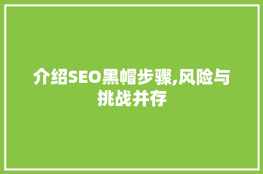 介绍SEO黑帽步骤,风险与挑战并存