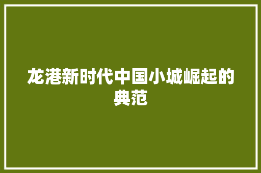 龙港新时代中国小城崛起的典范