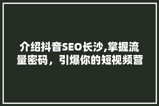 介绍抖音SEO长沙,掌握流量密码，引爆你的短视频营销