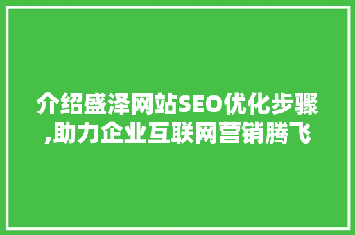 介绍盛泽网站SEO优化步骤,助力企业互联网营销腾飞