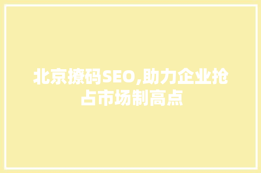 北京撩码SEO,助力企业抢占市场制高点