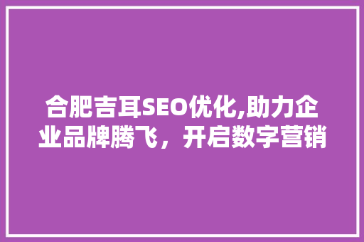 合肥吉耳SEO优化,助力企业品牌腾飞，开启数字营销新篇章