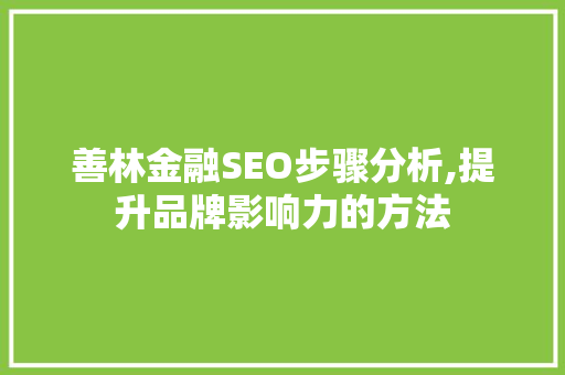 善林金融SEO步骤分析,提升品牌影响力的方法