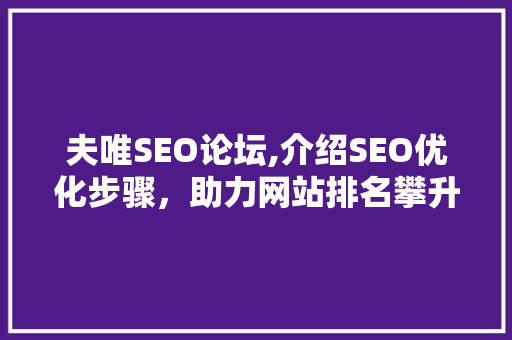 夫唯SEO论坛,介绍SEO优化步骤，助力网站排名攀升