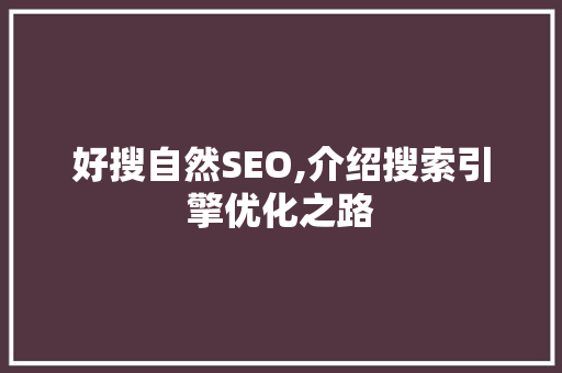 好搜自然SEO,介绍搜索引擎优化之路