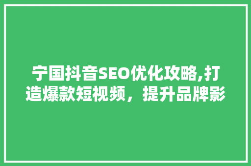 宁国抖音SEO优化攻略,打造爆款短视频，提升品牌影响力