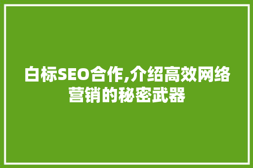 白标SEO合作,介绍高效网络营销的秘密武器