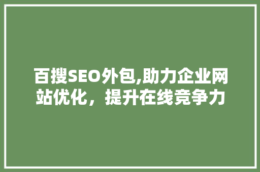 百搜SEO外包,助力企业网站优化，提升在线竞争力