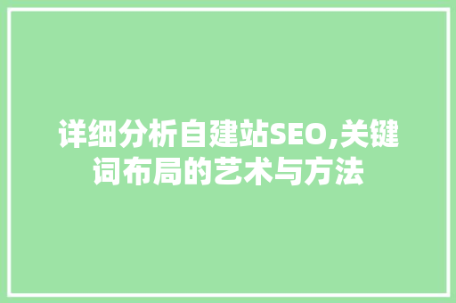 详细分析自建站SEO,关键词布局的艺术与方法