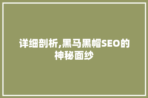 详细剖析,黑马黑帽SEO的神秘面纱