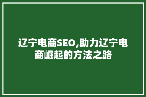 辽宁电商SEO,助力辽宁电商崛起的方法之路