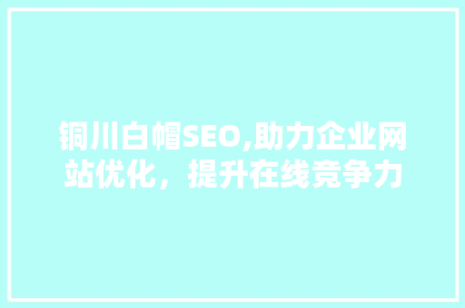 铜川白帽SEO,助力企业网站优化，提升在线竞争力