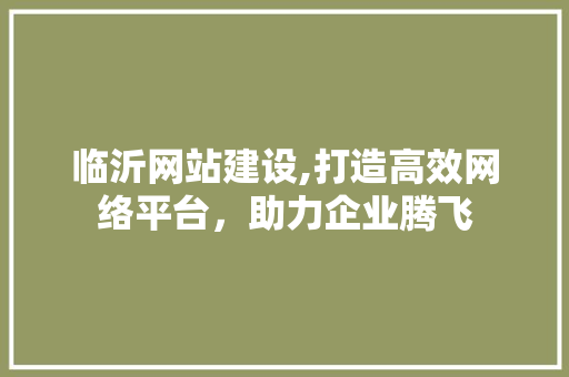 临沂网站建设,打造高效网络平台，助力企业腾飞