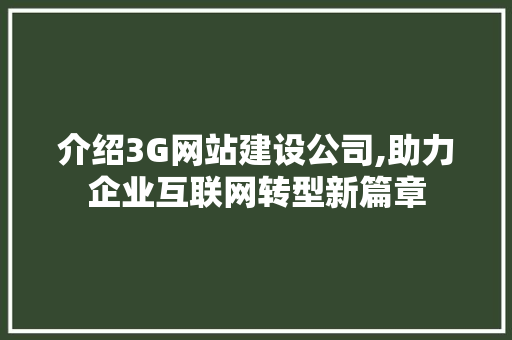 介绍3G网站建设公司,助力企业互联网转型新篇章  第1张